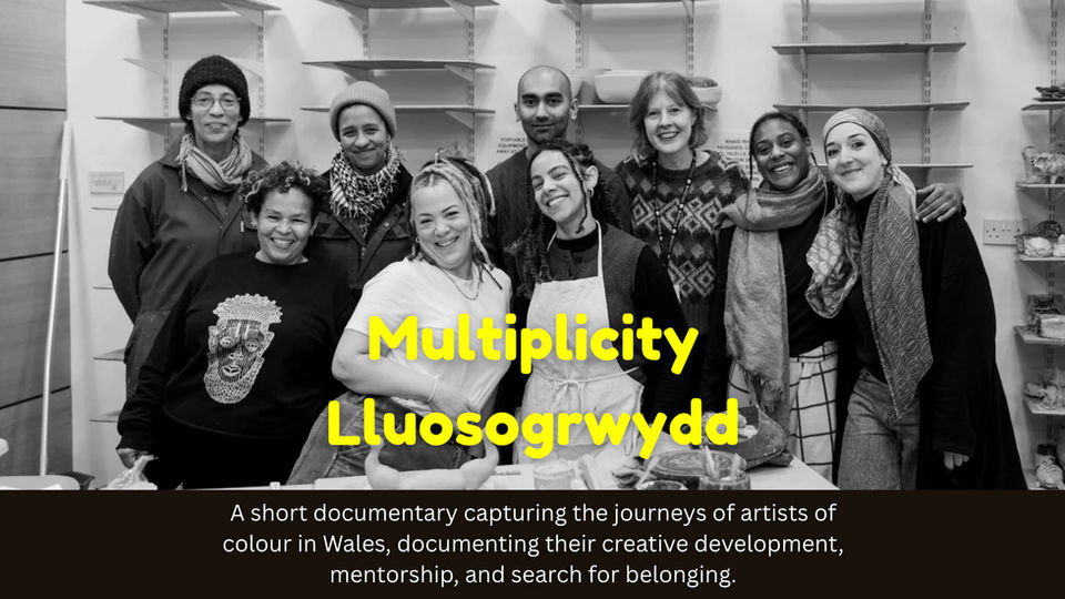Lluosogrwydd / Multiplicity